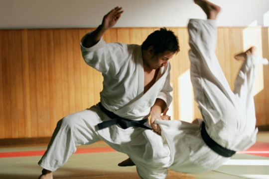 Đôi nét về môn võ Judo Nhật Bản