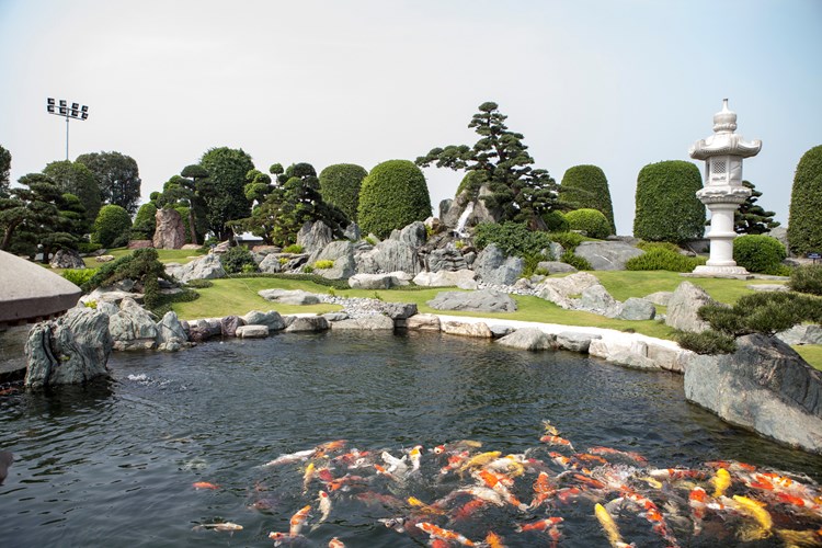 Ngắm vườn Nhật Bản trong lòng Tp.HCM
