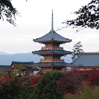 Chùa Thanh Thủy – di tích lịch sử tiêu biểu của Kyoto