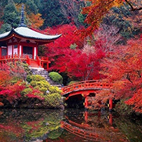 Cố đô Kyoto mùa lá đỏ