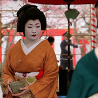 Geisha thời du lịch tại Nhật Bản
