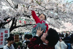 OHANAMI Các lễ hội truyền thống Nhật Bản