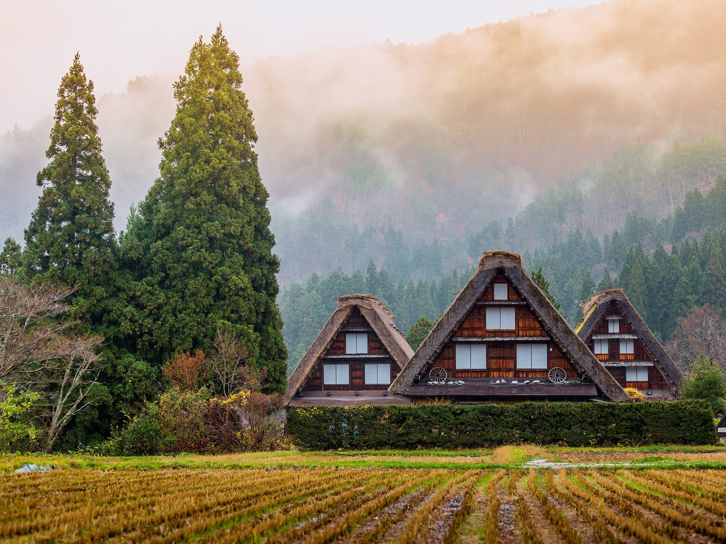 Cảnh đẹp thiên đường ở Nhật Bản qua 25 bức ảnh