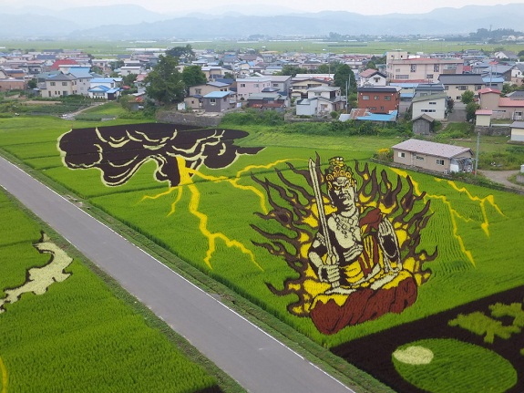 Choáng với nghệ thuật trồng lúa Tanbo Nhật Bản