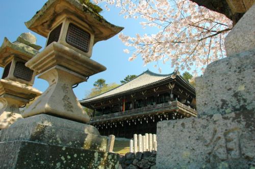 Chùa Todaiji – Sự kết hợp giữa giáo quyền và thế quyền ở Nhật Bản
