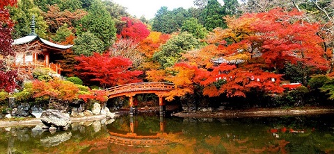 Kyoto – điểm hẹn văn hóa