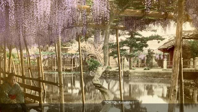 Tokyo Komeido [Tổng Hợp]   Những bức ảnh về nước Nhật xưa