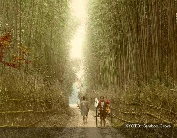 Kyoto Bamboo [Tổng Hợp]   Những bức ảnh về nước Nhật xưa