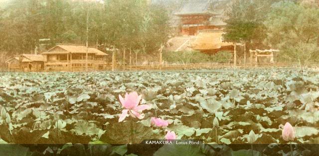 KamakuraLotus [Tổng Hợp]   Những bức ảnh về nước Nhật xưa