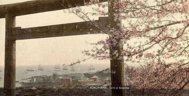 Yokohama Torii [Tổng Hợp]   Những bức ảnh về nước Nhật xưa